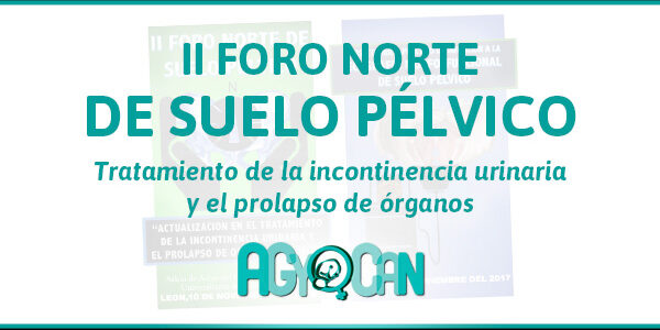 II FORO NORTE SUELO PÉLVICO