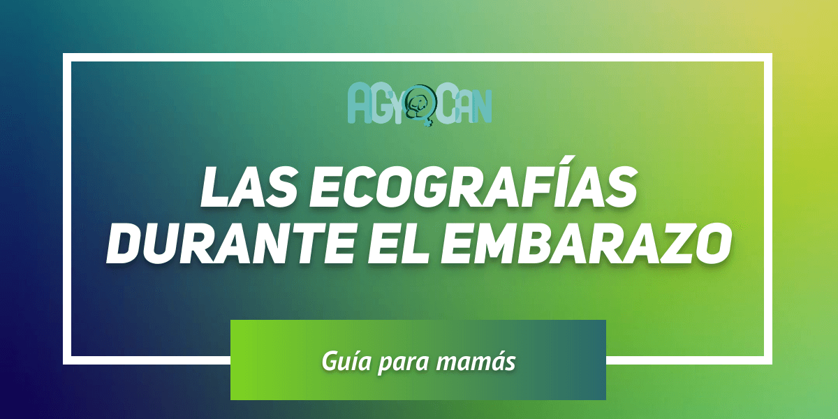 Ecografías durante el embarazo Las ecografias durante el embarazo son seguras para el bebe y la madre